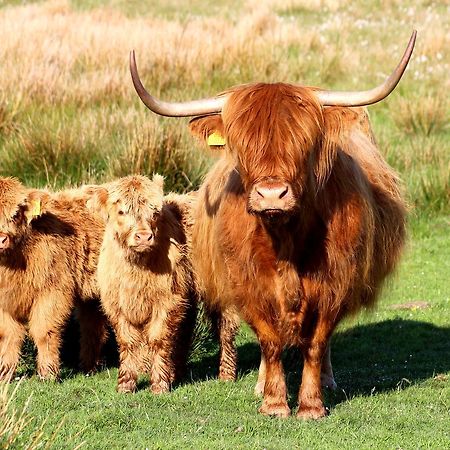 Drumbuie Farm B&B Drumnadrochit Εξωτερικό φωτογραφία