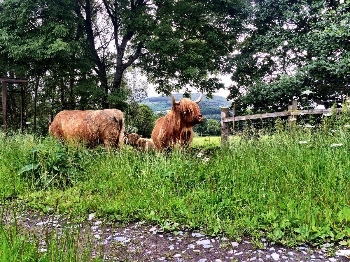 Drumbuie Farm B&B Drumnadrochit Εξωτερικό φωτογραφία