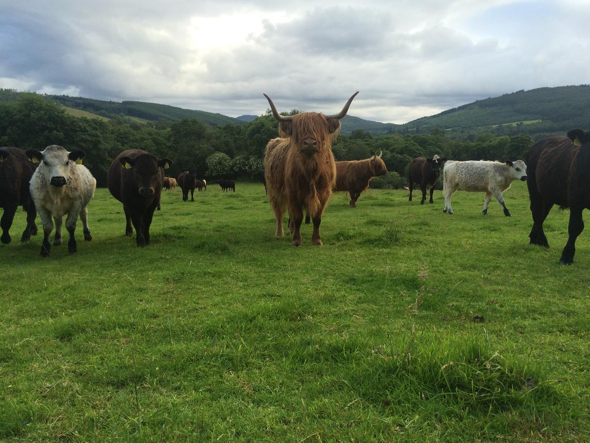 Drumbuie Farm B&B Drumnadrochit Εξωτερικό φωτογραφία
